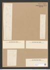 Stauroneis gregoryi Ralfs (de-Toni-Nr.: Genus 6, Species 885) Zeichnungen Sammlung Grunow Nr. 1746 (NHMW-BOT-W0368630)